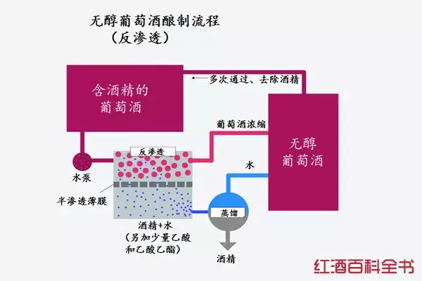 揭秘|无醇葡萄酒:何方神圣? - 红酒百科全书 - 红酒百科全书 揭秘|无醇葡萄酒:何方神圣? - 红酒百科全书 - 红酒百科全书