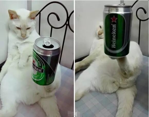 谁点谁怀孕!“白子画”上仙请收了神通吧,建国以后不许动物成精!-怀孕期