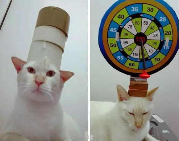 谁点谁怀孕!“白子画”上仙请收了神通吧,建国以后不许动物成精!-怀孕期