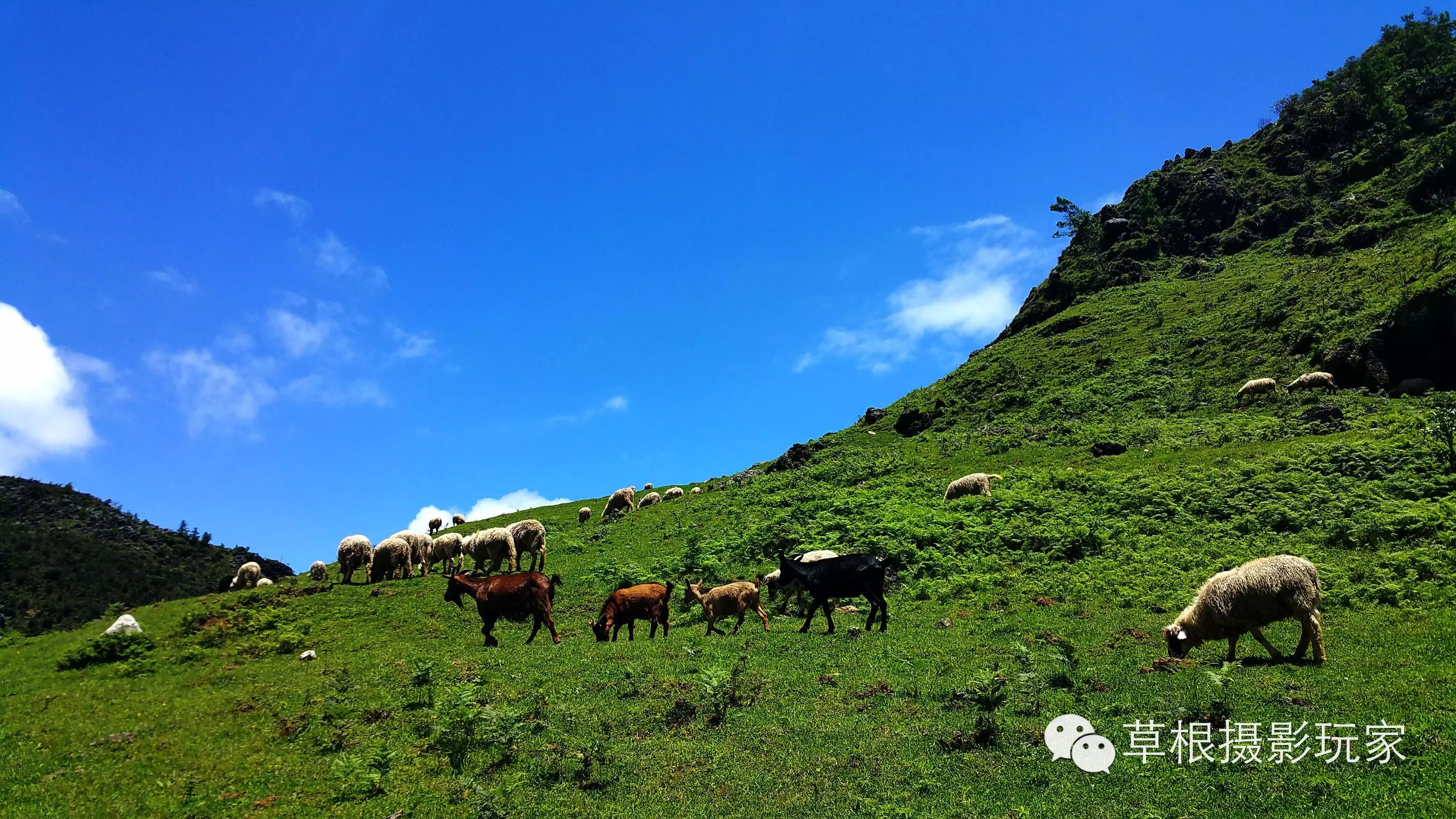 四大山旅游风景区位于施甸甸阳镇之东的木老元布朗族彝族乡,海拔