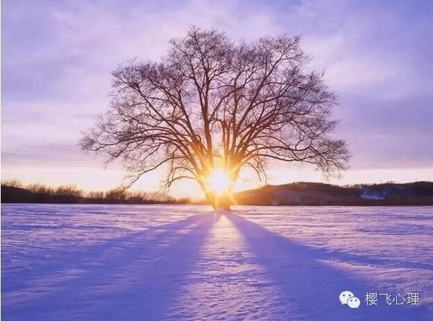 爱的救赎:谈周星驰和他的《美人鱼》