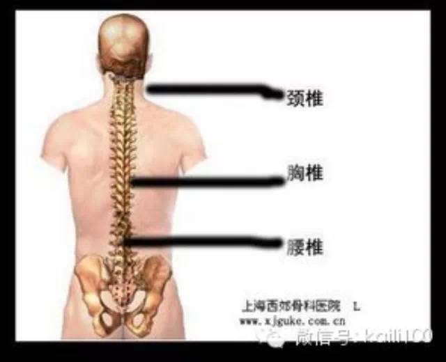 腰间盘突出症不花钱,最简单的治疗方式,转给亲朋好友