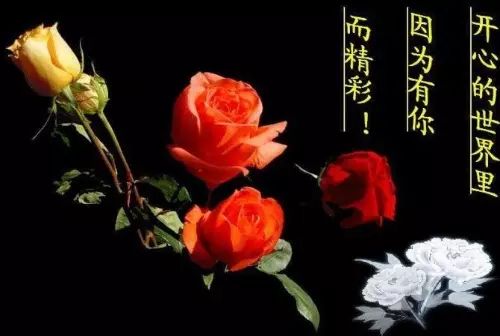 好想哭,一曲《再会无缘的情人》勾起了我的思念