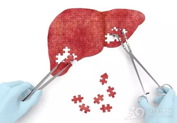 吃猪肝能护肝？关于肝脏的十大谣言你知道多少
