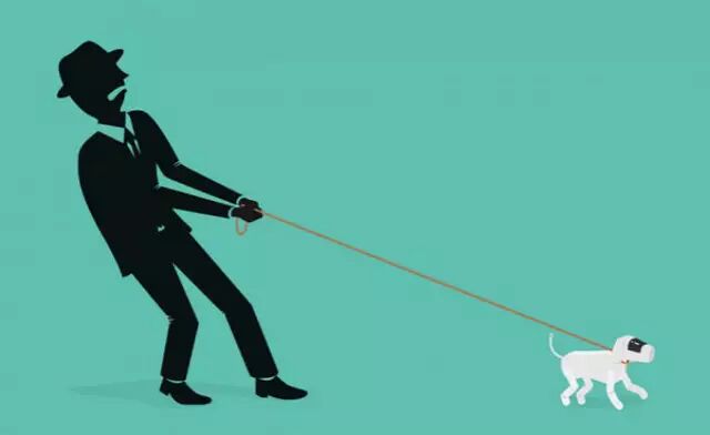 Dan Saffer：让我们像驯化小狗一样驯化算法