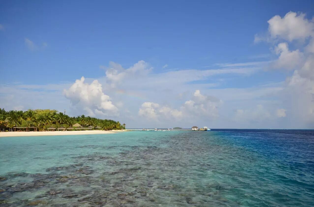 2015年公司年会-蓝天碧水