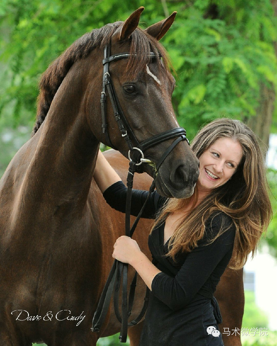 知马摩根马morganhorse