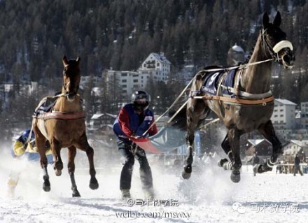 梦想奔驰女王与爱马马鞭马刺雪上赛马