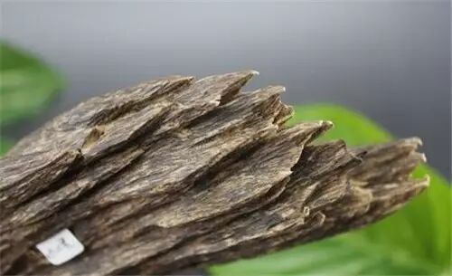 萌宠图片:佛家圣物印尼加里曼丹沉香木108颗佛珠，高僧加持！一折结缘！全国包邮！图片