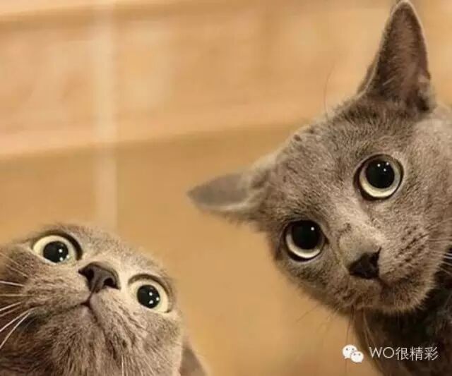 好奇心作祟 王源手机瞬间变砖头!