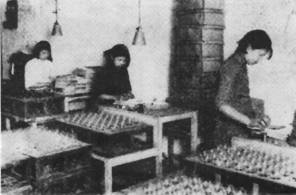 佛山照明为欧洲杯加油！