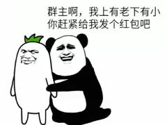 群主啊,我上有老下有小你赶紧给我发个红包吧