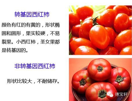 美国正式宣布转基因有毒。中国引进转基因的功臣宰相 - 天使坚持正义 - 十方世界大同 美国正式宣布转基因有毒! - 养生缘 - 捧拾碧玉 清新纯粹