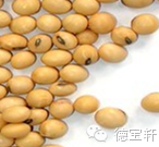 美国正式宣布转基因有毒。中国引进转基因的功臣宰相 - 天使坚持正义 - 十方世界大同 美国正式宣布转基因有毒! - 养生缘 - 捧拾碧玉 清新纯粹