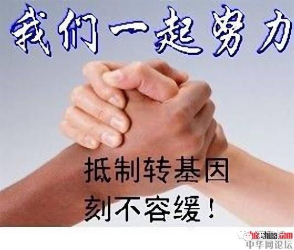 美国正式宣布转基因有毒。中国引进转基因的功臣宰相 - 天使坚持正义 - 十方世界大同 美国正式宣布转基因有毒! - 养生缘 - 捧拾碧玉 清新纯粹