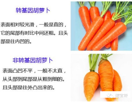 美国正式宣布转基因有毒。中国引进转基因的功臣宰相 - 天使坚持正义 - 十方世界大同 美国正式宣布转基因有毒! - 养生缘 - 捧拾碧玉 清新纯粹