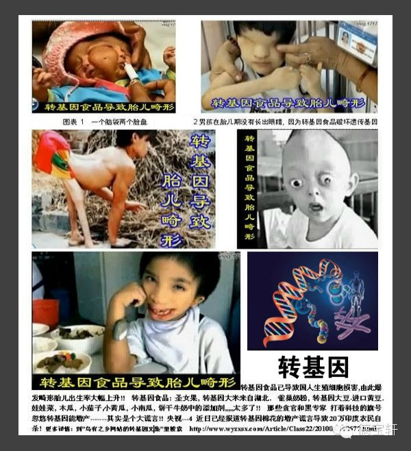 美国正式宣布转基因有毒。中国引进转基因的功臣宰相 - 天使坚持正义 - 十方世界大同 美国正式宣布转基因有毒! - 养生缘 - 捧拾碧玉 清新纯粹