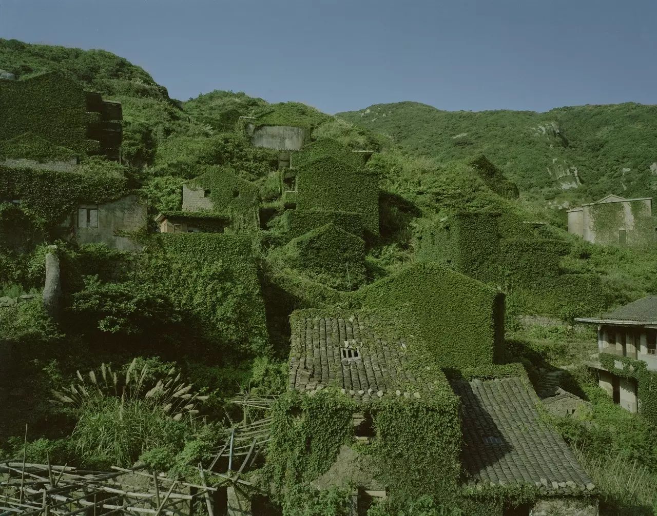 对谈/郭国柱:自然与聚落,在此消彼长中角力