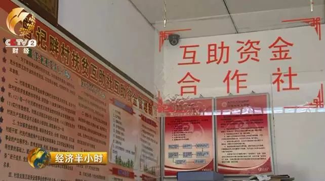 驴养殖前景_养驴的效益_致富经养驴