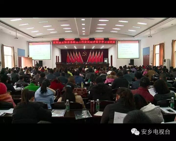 深柳镇举行贯彻县委经济工作会精神集中学习培训班