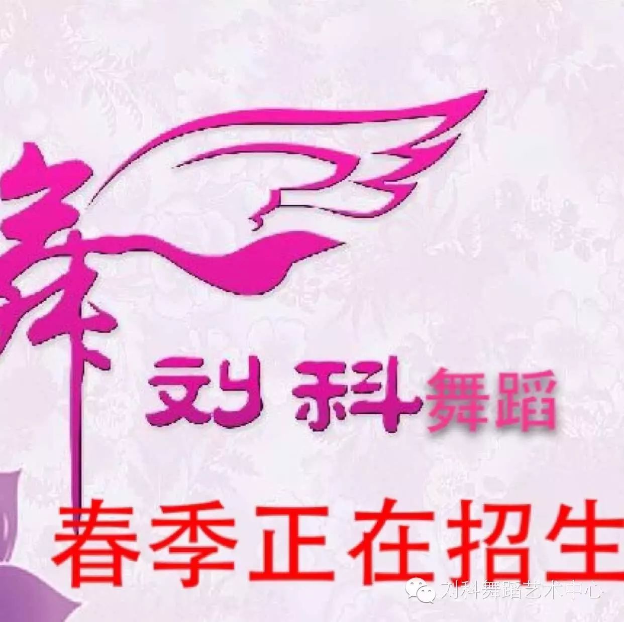 刘科舞蹈艺术学校2016春季班火热招生ing~~~