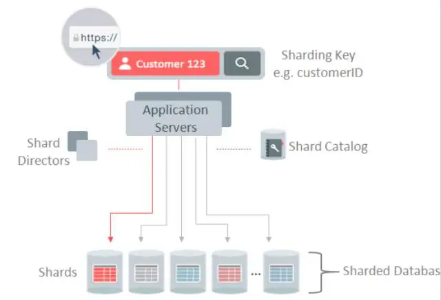 oracle-sharded 640?wx_fmt=png&tp=webp&wxfrom=5&wx_lazy=