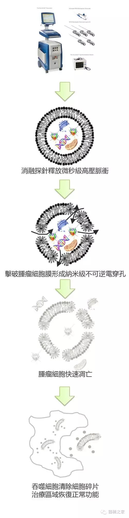 微介入——揭秘"纳米刀" (转载)
