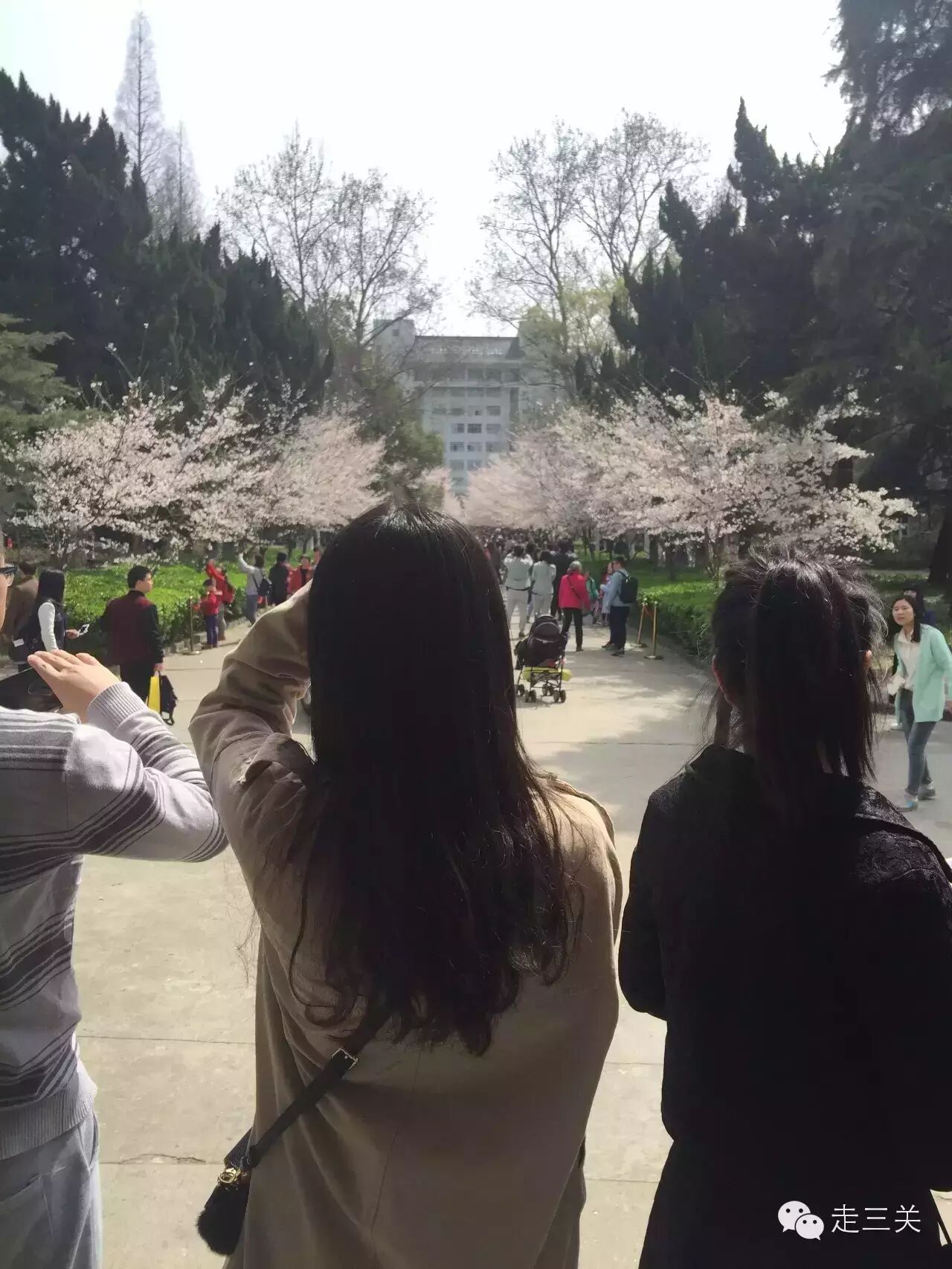 好吃鱼 ,赵寅成养你啊