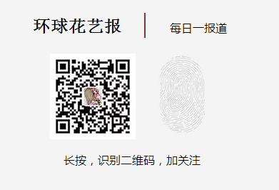 追女孩子的送花寄语_闺蜜过生日送花寄语_送花寄语