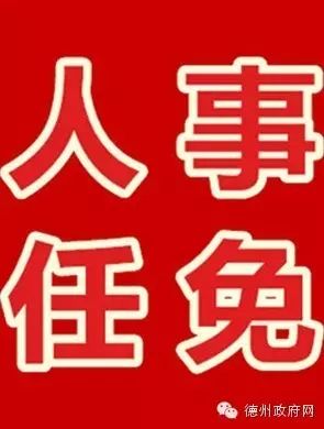 【人事任免】姜刚任德州市财政局局长 王刚任德州市规划局...