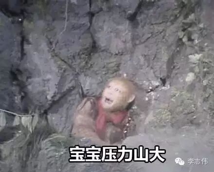 640?wx_fmt=jpeg&tp=webp&wxfrom=5&wx_lazy