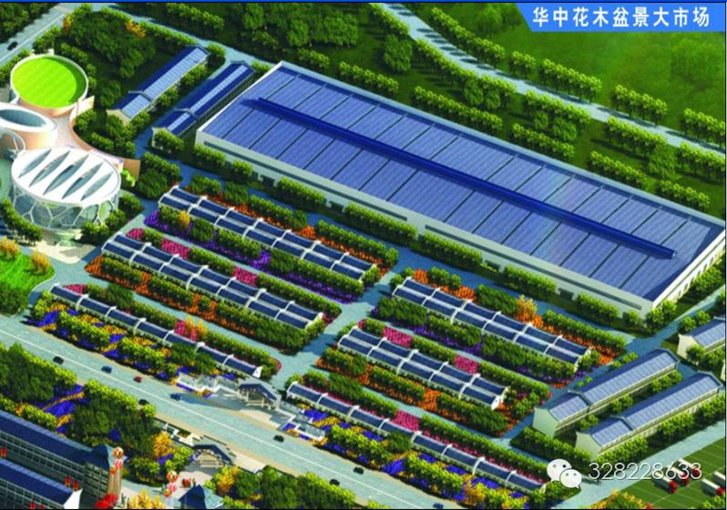中国林业金融创新产业园·华中绿谷