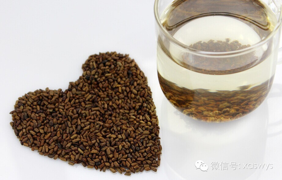 决明子泡水喝的副作用简介