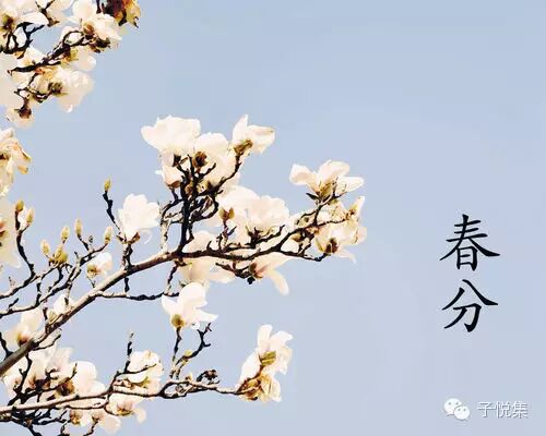 吃茶 <wbr>| <wbr>调和阴阳平衡，吃茶也有大讲究！！