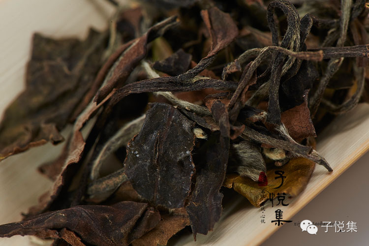 吃茶 <wbr>| <wbr>调和阴阳平衡，吃茶也有大讲究！！