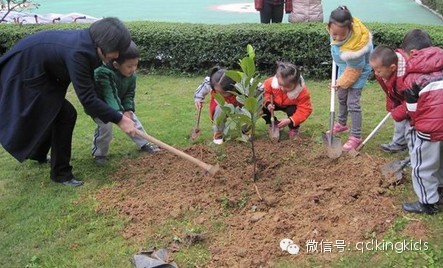 【植树节主题活动】拥抱春天,播种绿色