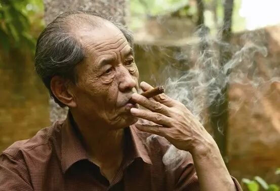 陈忠实:白鹿原上白鹿现