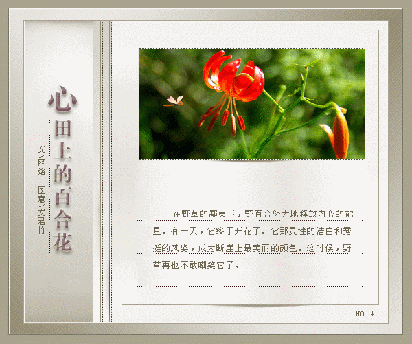 百合花开