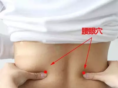 sontu在哪里【中医·风湿病】每天搓搓腰，小小的动作竟然如此厉害_https://www.jmylbn.com_新闻资讯_第2张