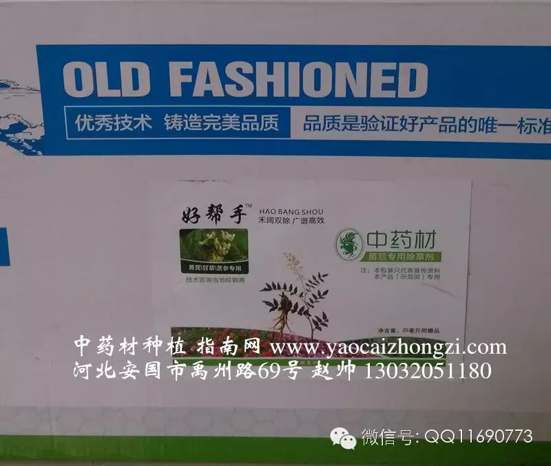 蒲公英杂草怎么除_蒲公英专用除草剂_蒲公英地里有草打什么除草剂好