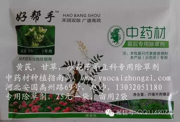 蒲公英专用除草剂_蒲公英地里有草打什么除草剂好_蒲公英杂草怎么除