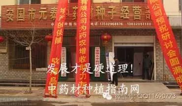 蒲公英杂草怎么除_蒲公英专用除草剂_蒲公英地里有草打什么除草剂好
