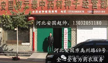 蒲公英专用除草剂_蒲公英杂草怎么除_蒲公英地里有草打什么除草剂好