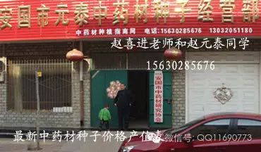 蒲公英专用除草剂_蒲公英杂草怎么除_蒲公英地里有草打什么除草剂好