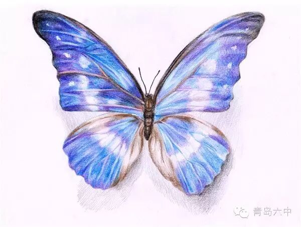 ...(指导教师:张磊)