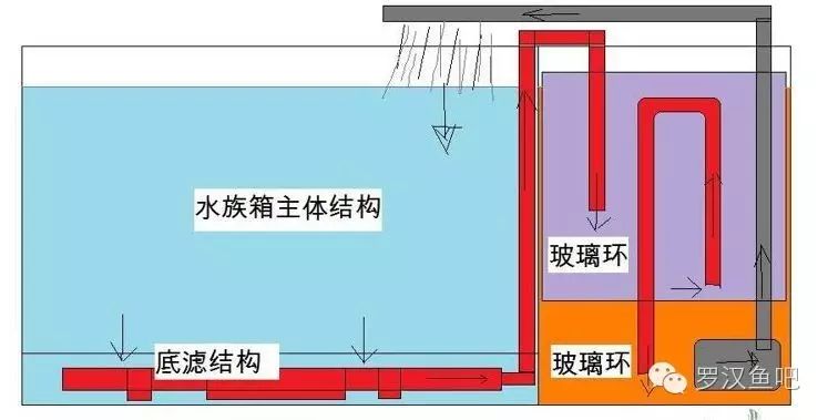 养鱼经验