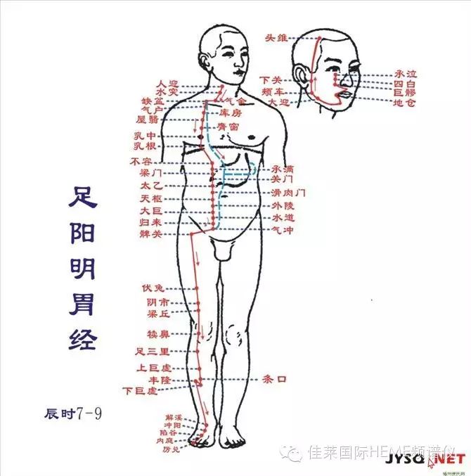 中医经络养生:拔罐,刮痧,艾灸,按摩,手到病自除!