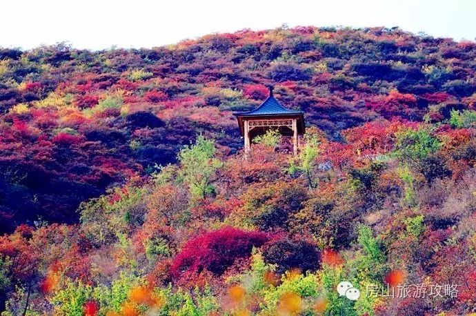 健康、实惠、舒畅 —— 房山夏日来“坡峰岭”