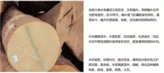 哪里有生產(chǎn)木板的廠(chǎng)家_上臣地板和大自然地板_大自然木地板生產(chǎn)廠(chǎng)家