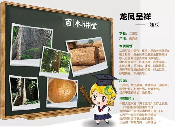 哪里有生產(chǎn)木板的廠(chǎng)家_上臣地板和大自然地板_大自然木地板生產(chǎn)廠(chǎng)家